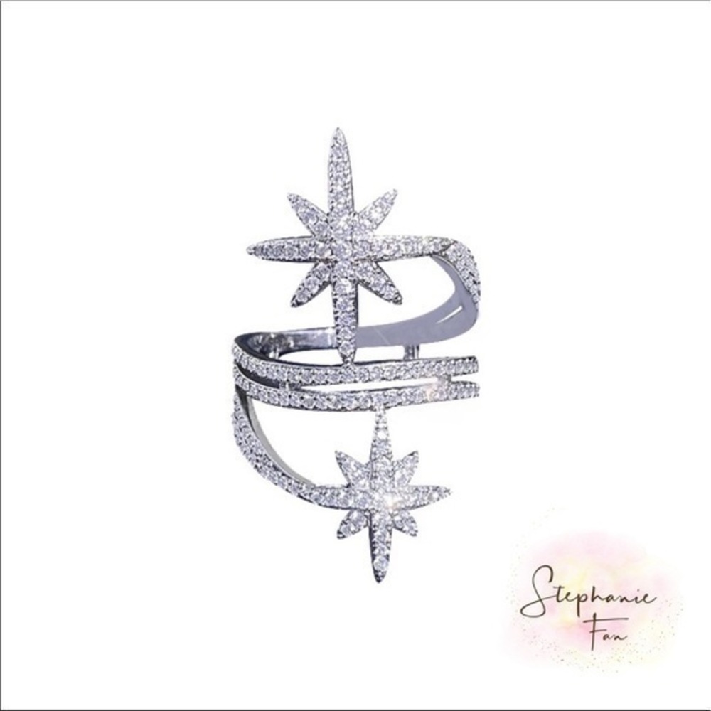 - Meteorities Ring 💍